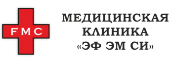 Логотип компании ЭФ ЭМ СИ