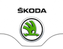 Логотип компании Регинас технический центр Skoda Nissan